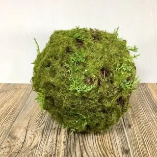 6" Moss/Fern Ball Treehouse Gift & Home