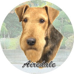 Airedale Car Coaster - Treehouse Gift & Home