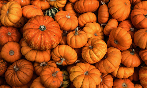 22 oz Butter Jar Candle: Hey, Pumpkin! Milkhouse Candle Company