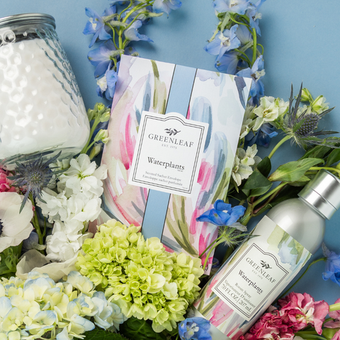 New Waterplants Large Sachet 18 Pack | Mother's Day & Easter Greenleaf Gifts