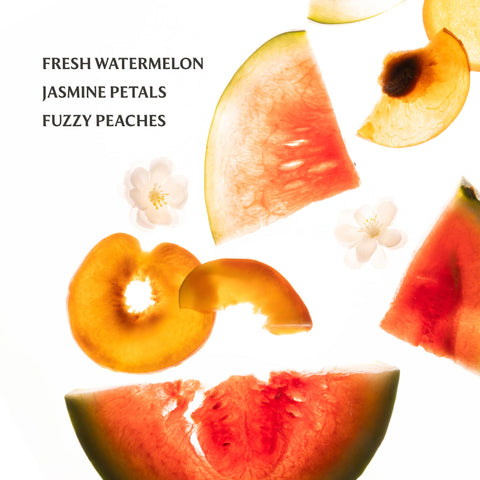 Wild Watermelon Power Mist Hydrating Hand Sanitizer Touchland