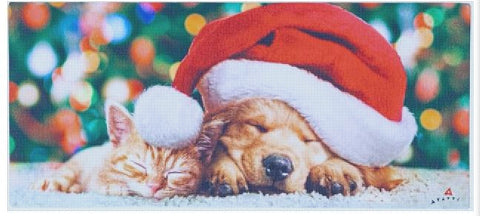 Puppy and Kitten Sassafras Switch Mat Evergreen Enterprises