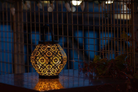 Metal Daisy 7.9" Outdoor Solar Lantern - Black Allsop Home & Garden