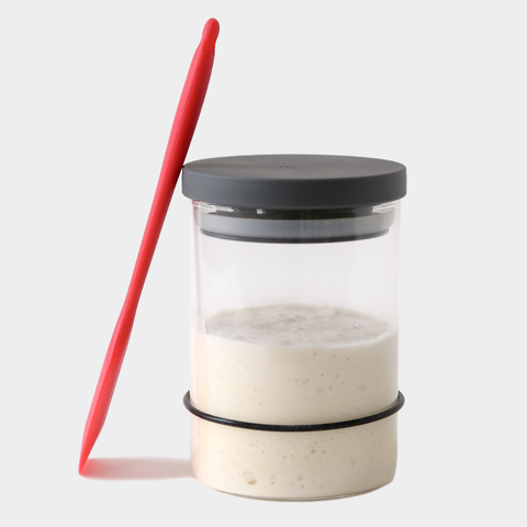 Breadtopia Sourdough Starter Kit Breadtopia