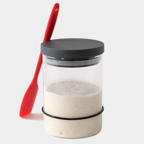 Breadtopia Sourdough Starter Kit Breadtopia