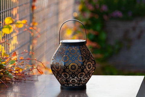 Metal Daisy 7.9" Outdoor Solar Lantern - Black Allsop Home & Garden
