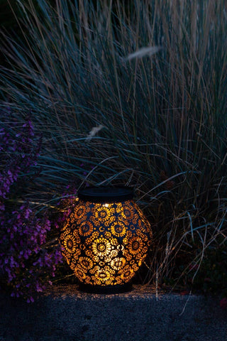 Metal Daisy 7.9" Outdoor Solar Lantern - Black Allsop Home & Garden