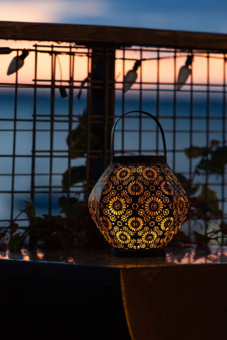 Metal Daisy 7.9" Outdoor Solar Lantern - Black Allsop Home & Garden