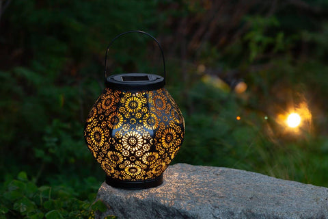 Metal Daisy 7.9" Outdoor Solar Lantern - Black Allsop Home & Garden