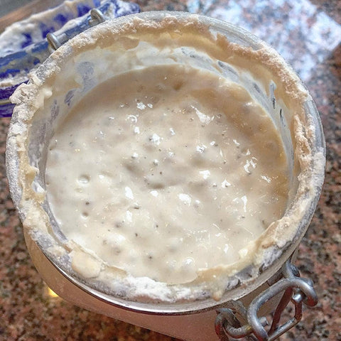 Sourdough Starter Breadtopia