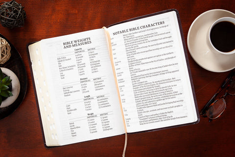 KJV Bible - Giant Print Blush BroadStreet Publishing Group, LLC