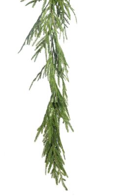 6' AUSTRIAN PINE GOLD CRI Sales Inc.