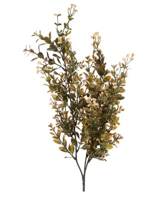 BOXWOOD W/BERRYRY SPRAY CREAM CRI Sales Inc.
