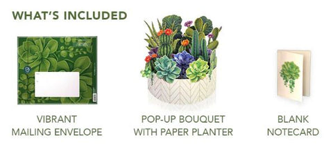 Cactus Garden FreshCut Paper, LLC