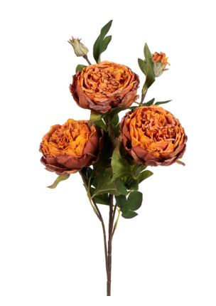 25" LG PEONY (DR) RUST CRI Sales Inc.
