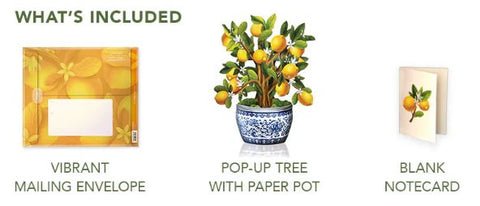 Lemon Tree FreshCut Paper, LLC