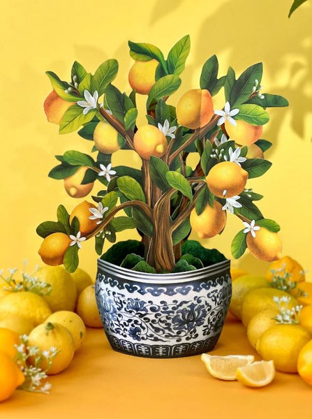 Lemon Tree– Treehouse Gift & Home