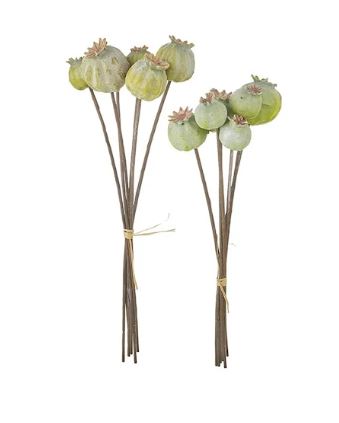 11 Poppy Seed Pod Bundle RAZ Imports