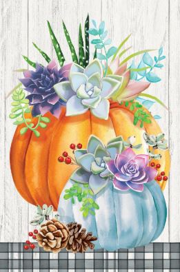 Pumpkin Succulents Suede Flag Evergreen Enterprises