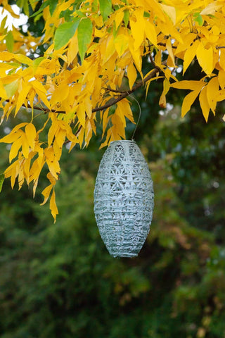 Stella Wildflower Pod 15" Solar Lantern - Sage Allsop Home & Garden