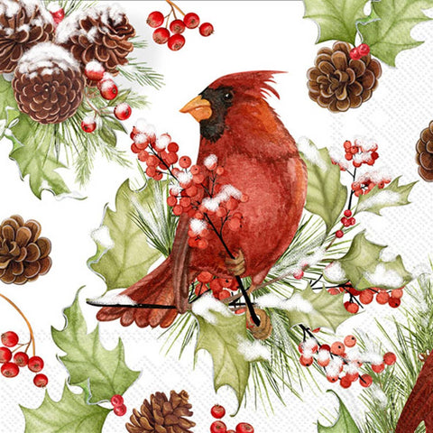 Paper Cocktail Napkins 20 ct Cardinals In Holly Christmas Boston International