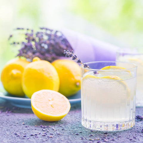 22 oz Butter Jar Candle: Citrus & Lavender Milkhouse Candle Company