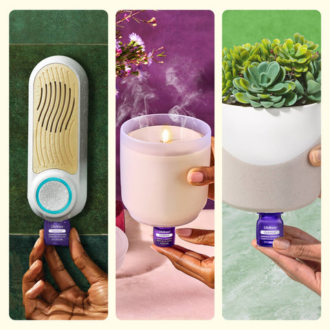 ClickWick In Bloom Refill- For Candle/ Plant/ Shower Only. Lifelines