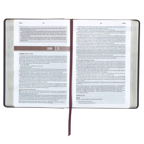 Devotional Bible NLT for Men Faux Leather Walnut Brown Cross Christian Art Gifts