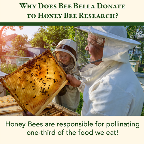 Vanilla Bean Lip Balm Bee Bella