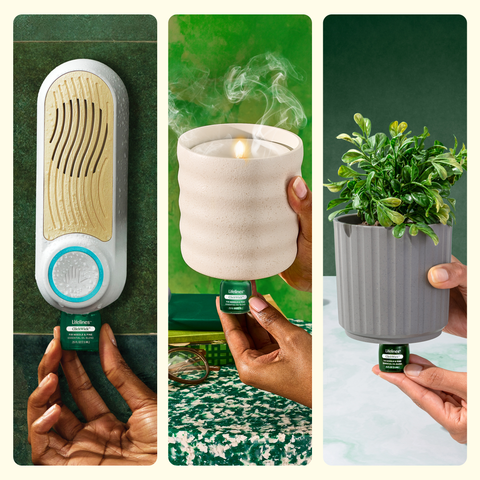 ClickWick Walk in the Woods Refill-Candle/Plant/ Shower Lifelines