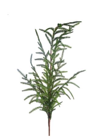 36" AUSTRIAN PINE SPRAY CRI Sales Inc.