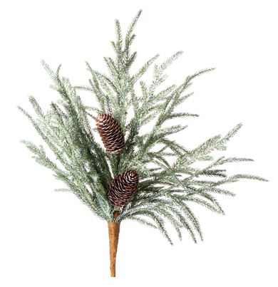 21" AUSTRIAN PINE BUSH CRI Sales Inc.