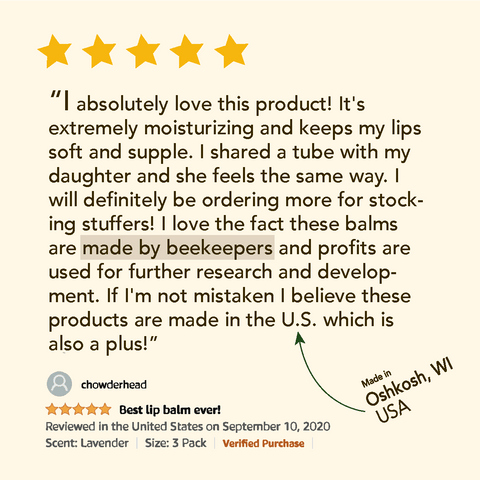Pumpkin Spice Lip Balm | 6 Pack Bee Bella