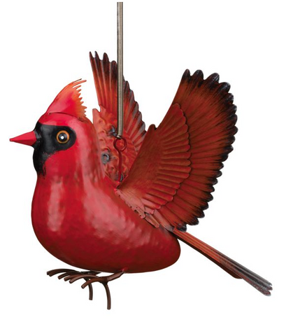 Bird Bouncie - Cardinal Regal