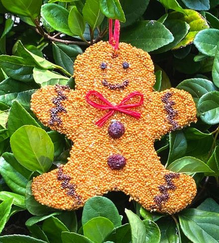 Gingerbread Man Christmas Cookie Mr. Bird