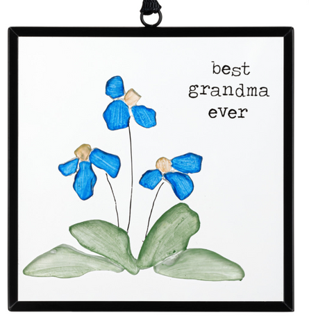 Best Grandma Ever Suncatcher
(THE SHARON NOWLAN COLLECTION) Demdaco