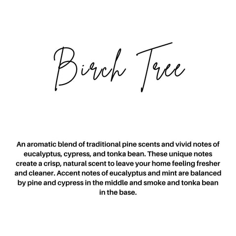 BIRCH TREE | HOLIDAY | CAR DIFFUSER Hollowood Home and Candle