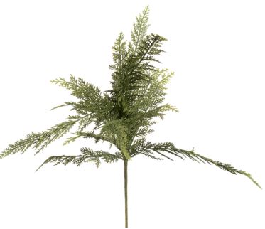 27" CEDAR SPRIG CRI Sales Inc.