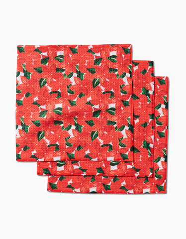 Winter Flora Dishcloth Set Geometry