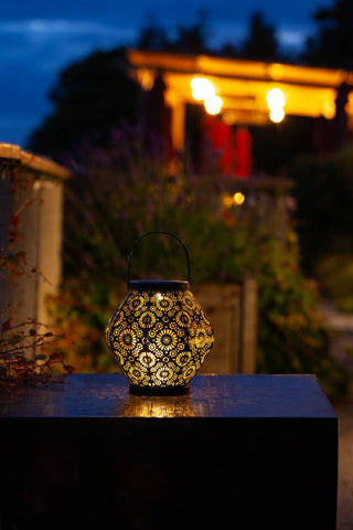 Metal Daisy 7.9" Outdoor Solar Lantern - Black Allsop Home & Garden