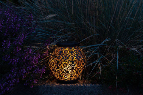 Metal Daisy 7.9" Outdoor Solar Lantern - Black Allsop Home & Garden