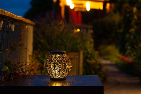 Metal Daisy 7.9" Outdoor Solar Lantern - Black Allsop Home & Garden