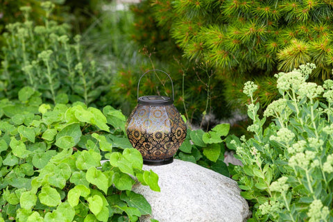 Metal Daisy 7.9" Outdoor Solar Lantern - Black Allsop Home & Garden