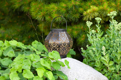 Metal Daisy 7.9" Outdoor Solar Lantern - Black Allsop Home & Garden