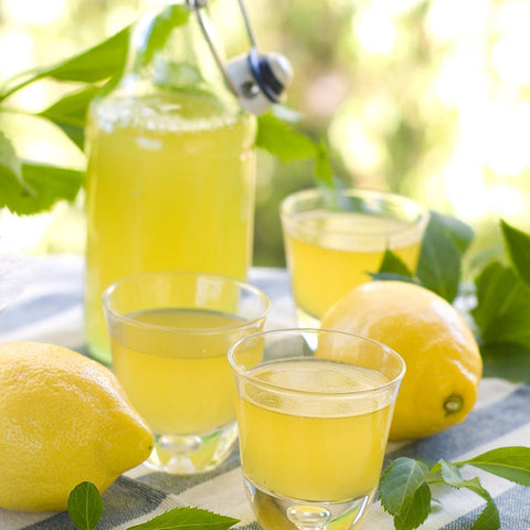 22 oz Butter Jar Candle: Limoncello Milkhouse Candle Company