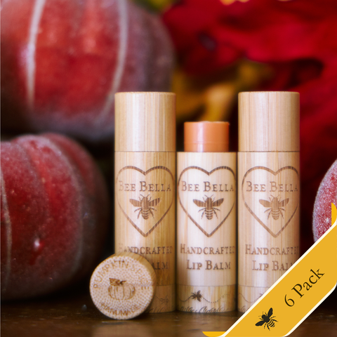 Pumpkin Spice Lip Balm | 6 Pack Bee Bella