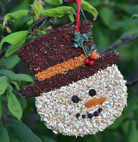Frosty Christmas Cookie Mr. Bird