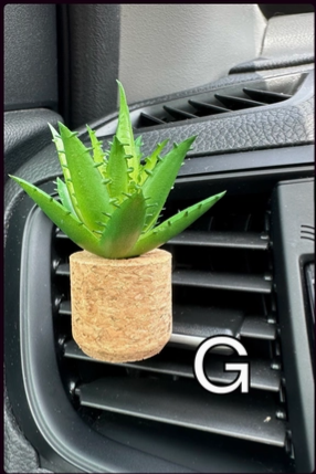 Plant Car Vent Clip Air Freshener Diffuser (Reusable): Green Tea & Lemongrass / G Vroom Blooms