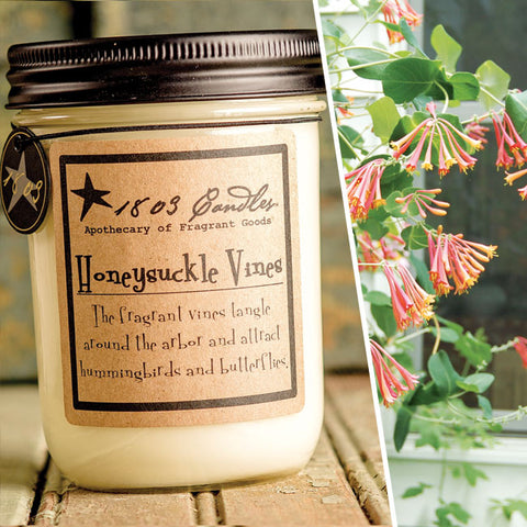 Honeysuckle Vines-14oz Jar Candle 1803 Candles