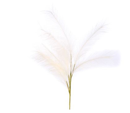 40" PAMPAS GRASS BEIGE CRI Sales Inc.